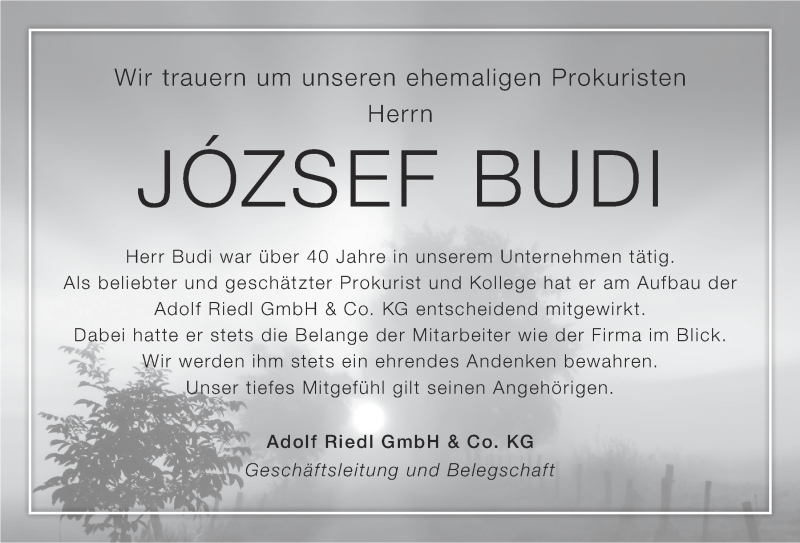  Traueranzeige für Jozsef Budi vom 26.01.2017 aus Nordbayerischer Kurier