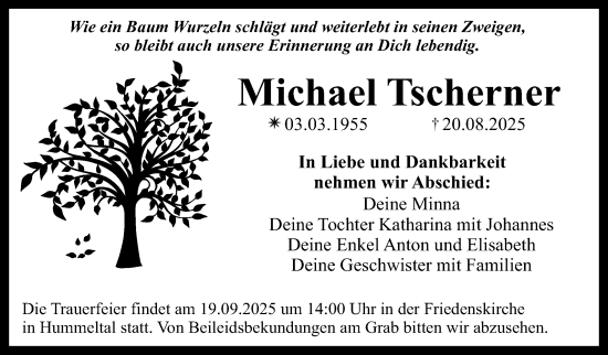 Anzeige von Michael Tscherner von Nordbayerischer Kurier